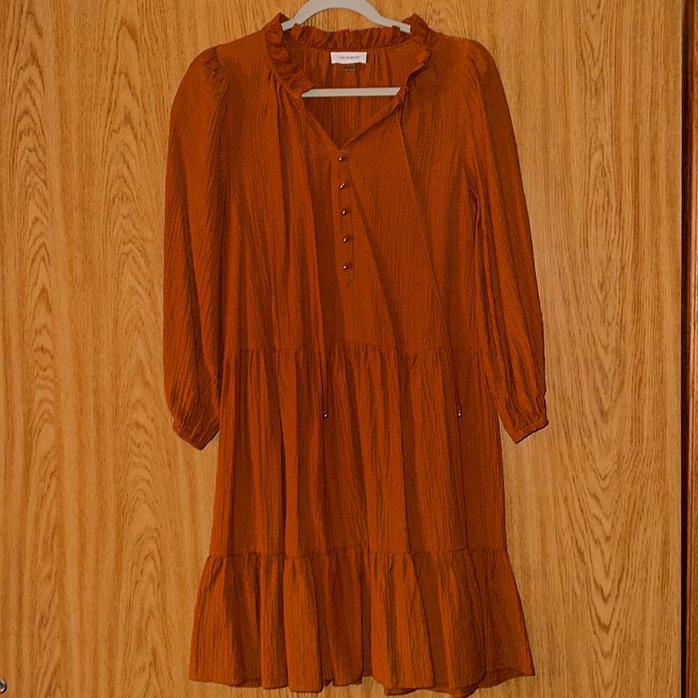 Burnt orange Calvin Klein dress